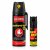 F.W. Klever KO FOG 50 ml + KKS Protect 15 ml - obranný set